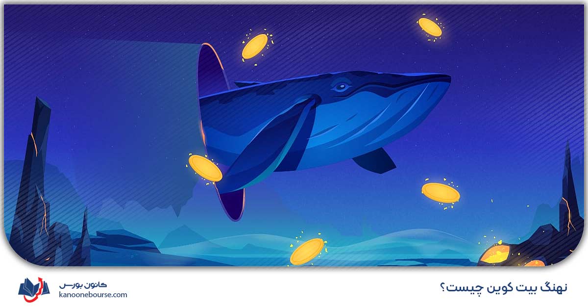 نهنگ بیت کوین چیست